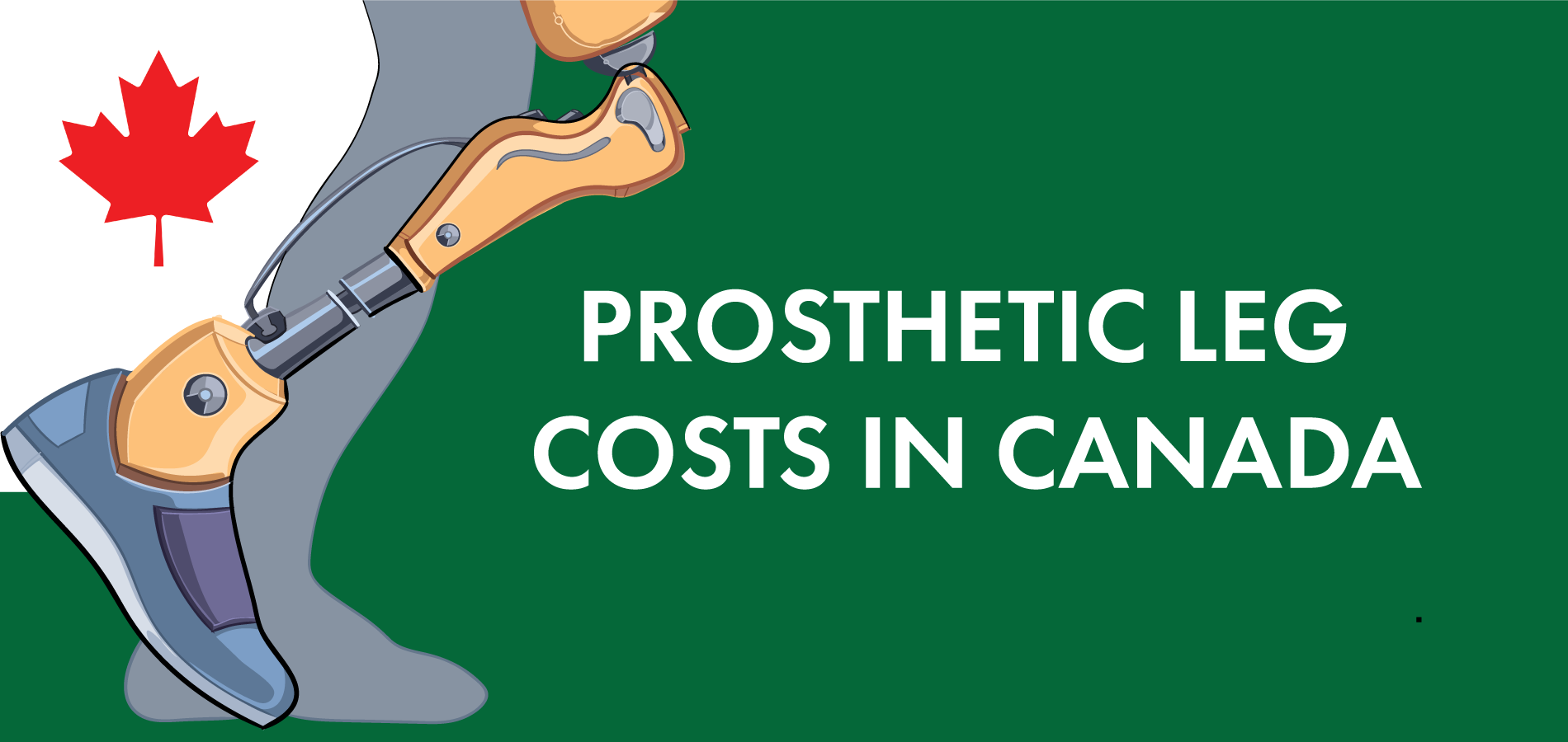Quick Guide to Prosthetic Limbs in Canada Cost, Types, and Funding